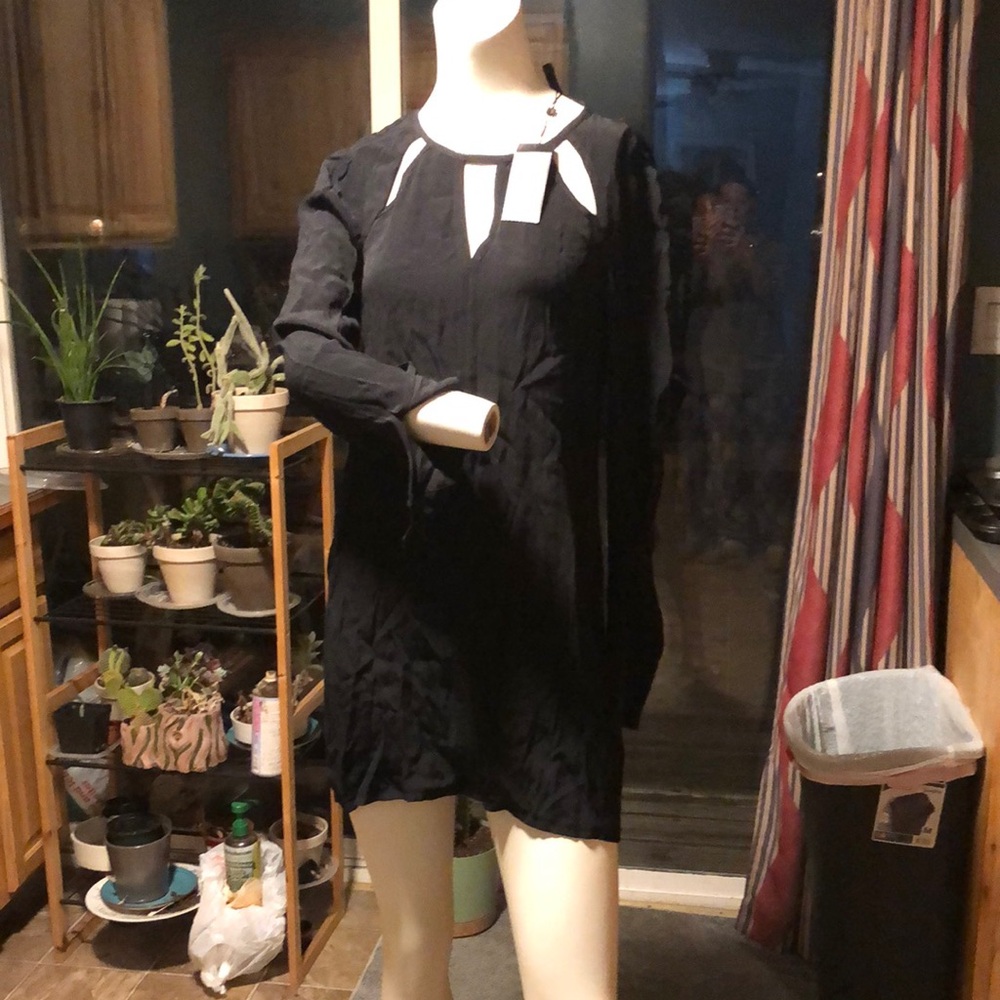 BCBG Maxazria emmalise long sleeve dress